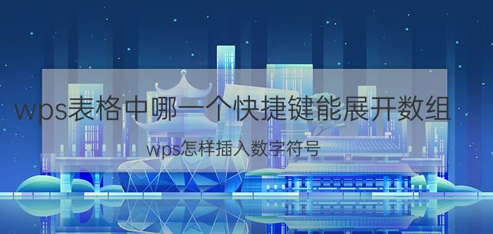 wps表格中哪一个快捷键能展开数组 wps怎样插入数字符号？